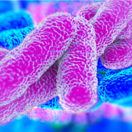 WDTN Oakwood Schools reopens parts of Lane Stadium after negative legionella test